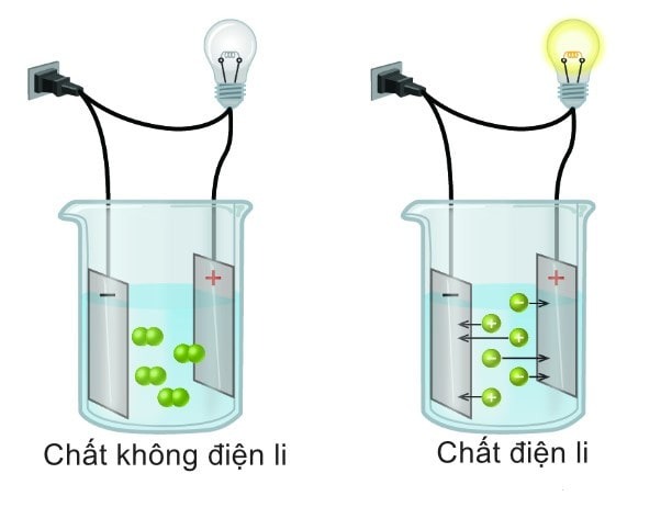 Sự khác biệt giữa chất điện li và không điện li 